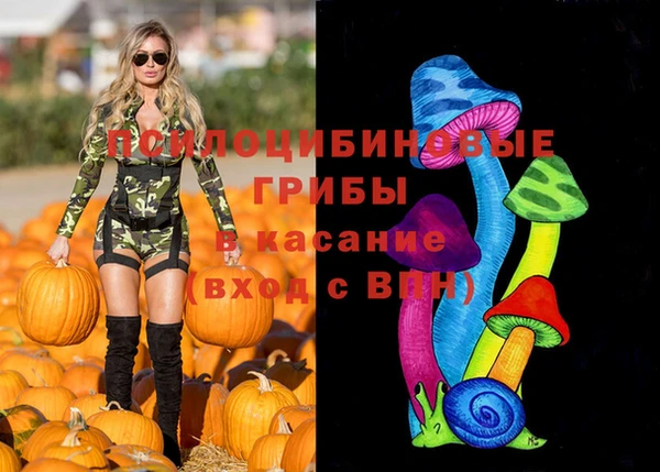 герыч Пересвет