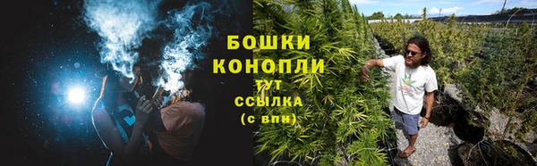герыч Пересвет