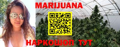 a pvp Аргун