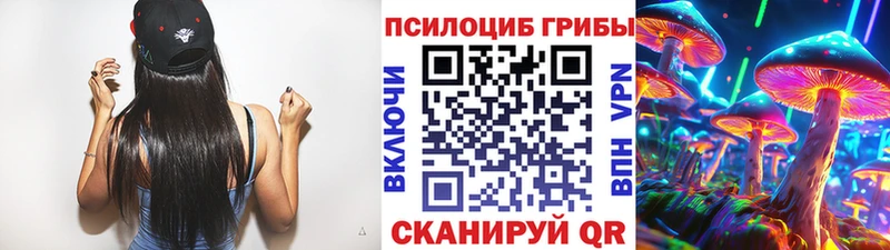 Псилоцибиновые грибы GOLDEN TEACHER купить Богородск