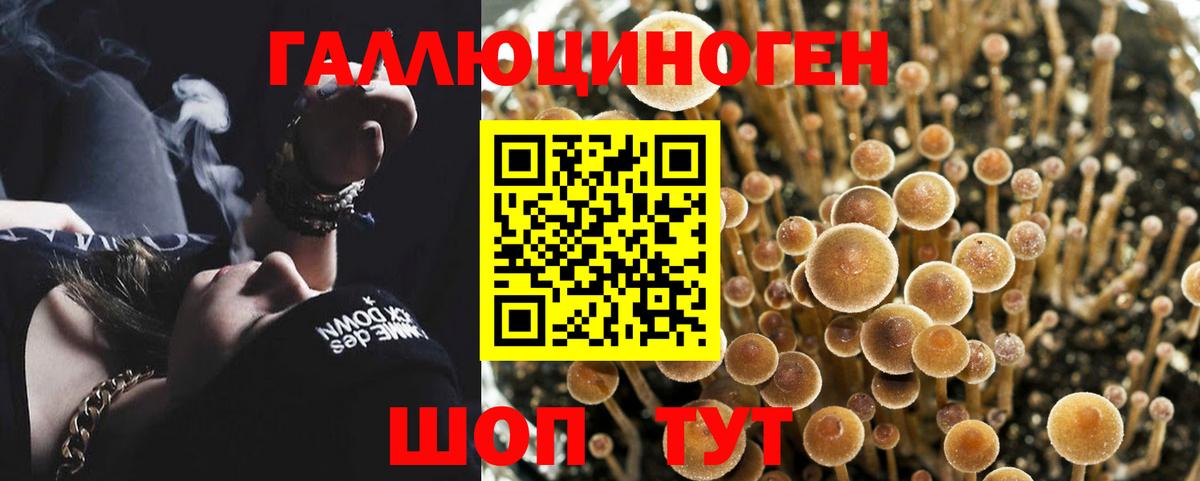 Галлюциногенные грибы GOLDEN TEACHER Богородск