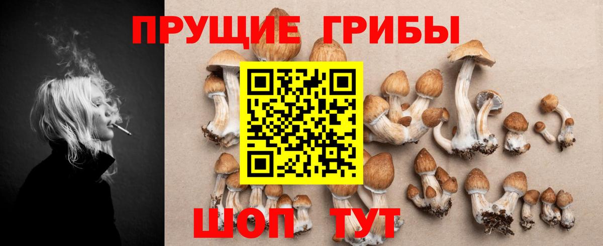 Галлюциногенные грибы Magic Shrooms Богородск